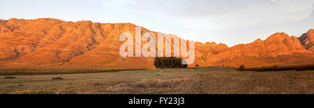 Les montagnes magnifiques border Elandsberg ferme, Bo Herman, Afrique du Sud. Banque D'Images