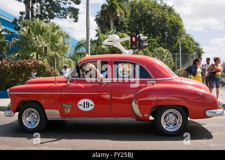 Vue horizontale d'une conduite de taxi américain classique le long d'une rue à La Havane, Cuba. Banque D'Images