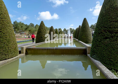 Topiary et vue sur la fontaine au célèbre Keukenhof, un des plus grands jardins de fleurs, Lisse, Hollande méridionale, Pays-Bas. Banque D'Images