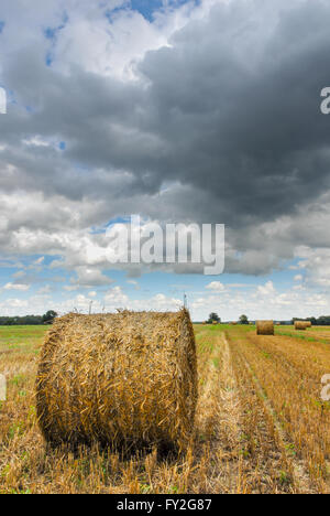 Rouleaux de paille sur un champ de chaume sous les nuages de tempête Banque D'Images