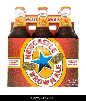 Winneconne, WI -28 oct 2015 : six-pack de Newcastle brown ale bière. Banque D'Images