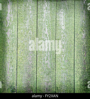 En bois vert de l'arrière-plan. Photo de structure en bois. Banque D'Images