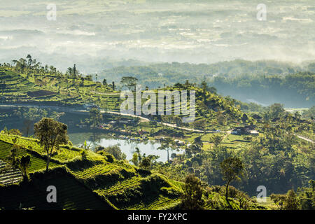 Brume matinale enveloppe a green village montagneux dans les montagnes centrales de l'Est de Java, Indonésie Banque D'Images