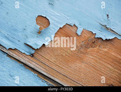 Détail de l'écaillage de la peinture bleue sur la surface en bois Banque D'Images