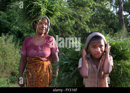 Femme et petit boy picking grass field dans le parc national de Chitwan, Népal, Asie. L'exploitation du travail. Banque D'Images