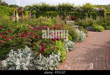 Rosa 'Sophy's Rose et Rosa 'Jubilé de la Reine, rose foncé et roses rouges dans une frontière près d'un banc en teck à RHS Garden Rosemoor dans Gr Banque D'Images