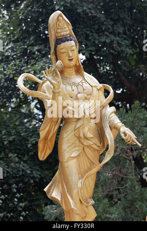 Statue de la déesse bouddhiste ou Gunayin Kwan Giu ou Kwun Yam, bodhisattva féminin, dix mille bouddhas Monastery, Sha Tin Banque D'Images