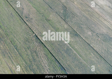 Vieilles planches en bois couvertes de moisissures, selective focus Banque D'Images