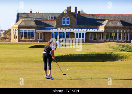 La lecture d'un golfeur dame tourné à partir de la dix-huitième fairway à la mise au vert de Royal Troon Golf Club, Troon, Ayrshire, Ecosse, Banque D'Images