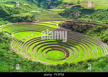 Moray, le laboratoire agricole Inca à Vallée sacrée des Incas au Pérou Banque D'Images