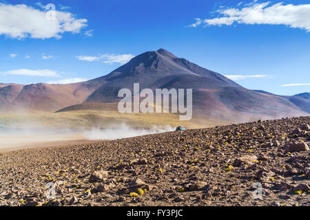 Avis de haute montagne dans le Parc National, Uyuni, Bolivie Banque D'Images