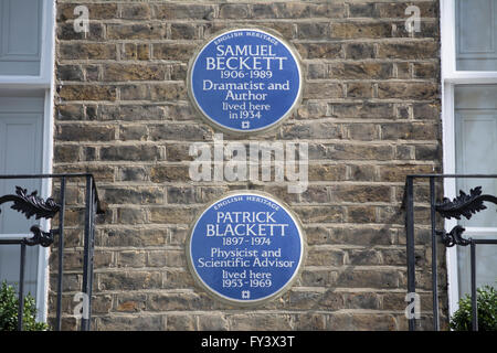 Plaques bleues à Chelsea, Londres, Angleterre, maisons de notation scientifique Patrick Blackett et dramaturge Samuel Beckett Banque D'Images