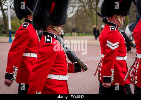 Marche des soldats portant d'ours Banque D'Images