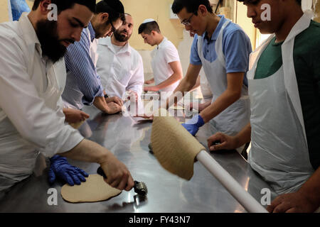 Jérusalem, Israël. 21 avril, 2016. Les hommes juifs préparent la matsa, le pain sans levain, pour la Pâque, symbolique de l'exode biblique des anciens Hébreux de l'esclavage en Egypte à la liberté, à qui n'ayant pas eu le temps d'attendre pour pâte d'augmenter avant de quitter l'Egypte, ils partirent dans le désert avec des pains sans levain. Credit : Alon Nir/Alamy Live News Banque D'Images