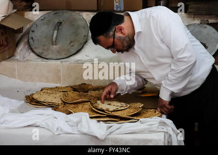 Jérusalem, Israël. 21 avril, 2016. Les hommes juifs préparent la matsa, le pain sans levain, pour la Pâque, symbolique de l'exode biblique des anciens Hébreux de l'esclavage en Egypte à la liberté, à qui n'ayant pas eu le temps d'attendre pour pâte d'augmenter avant de quitter l'Egypte, ils partirent dans le désert avec des pains sans levain. Credit : Alon Nir/Alamy Live News Banque D'Images