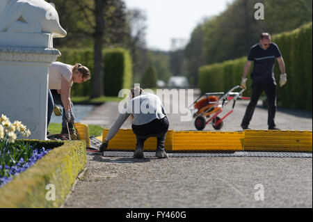 Techniciens poser des câbles dans le grand jardin du palais de Herrenhausen à Hanovre, Allemagne, 21 avril 2016. La chancelière Merkel et le président américain Obama se réunira à Herrenhausen Palace le 24 avril 2016 lors de sa visite à la foire de Hanovre. Photo : SEBASTIAN GOLLNOW/dpa Banque D'Images