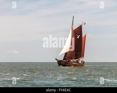 Yacht à voile traditionnel néerlandais de la flotte Brown de la voile sur la mer de Wadden aux Pays-Bas Banque D'Images