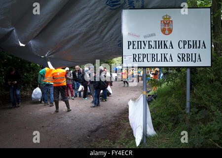 Les réfugiés qui traversent la frontière serbo-croate entre Berkasovo (Serbie) et Bapska (Croatie) Banque D'Images