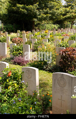 Le cimetière du Commonwealth, Trincomalee, Sri Lanka Banque D'Images