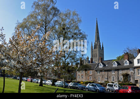 Vue de la cathédrale de Norwich printemps vu de la Basse Fermer Banque D'Images