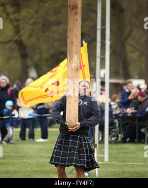 Concurrent en kilt sur le point de lancer la caber avec Royal Standard de l'Écosse dans l'arrière-plan. Banque D'Images