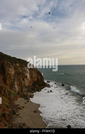 Rocky beach Point Dume falaises State Park en Californie Banque D'Images