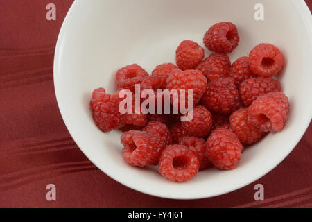 Close up of red framboises dans un bol blanc sur fond rouge cirée Banque D'Images