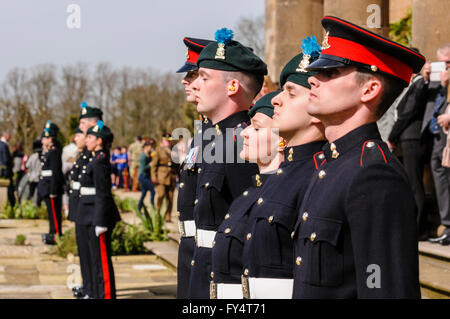 Les soldats de l'Ulster 'Gunners' dans l'uniforme de cérémonie. Banque D'Images