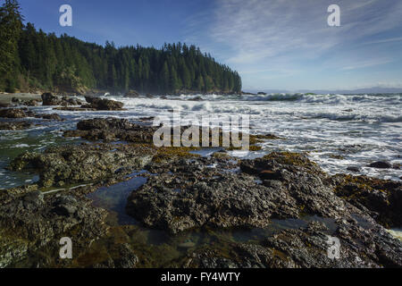 Sombrio Beach, Juan de Fuca Trail, l'île de Vancouver, Colombie-Britannique Banque D'Images