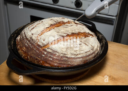 Contrôle de la température à l'intérieur d'un pain au levain cuit au four Banque D'Images