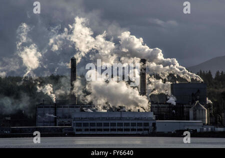 Port Townsend, Washington, USA. 24Th Mar, 2016. La vapeur s'élevant de la Port Townsend Paper Corporation est une vue au sud de Port Townsend, Washington. L'usine produit des pâtes kraft, papier, et ondulé. © Bruce Chambers/ZUMA/Alamy Fil Live News Banque D'Images