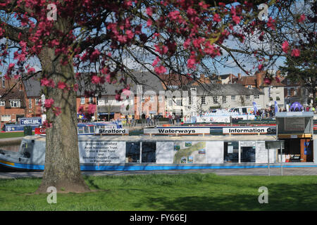 Stratford-upon-Avon, Angleterre, Royaume-Uni ; 23 avril 2016. Une belle journée à Stratford-upon-Avon aujourd'hui, comme la ville commémore le 400e anniversaire de la mort de William Shakespeare Crédit : Andrew Lockie/Alamy Live News Banque D'Images