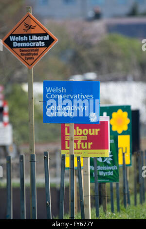 Pays de Galles Aberystwyth UK, samedi 23 avril 2016 politique routière bannières et affiches pour les candidats et partis à l'Assemblée Nationale de Galles élections (Plaid Cymru / Welsh Welsh / libéraux-démocrates conservateurs / population / Parti Vert) l'Assemblée nationale du Pays de Galles de 2016 l'élection aura lieu le jeudi 5 mai 2016, d'élire les membres de l'Assemblée nationale du Pays de Galles (AMS). Ce sera la cinquième élection de l'Assemblée nationale. Actuel du Ceredigion est SUIS ELIN JONES, représentant Plaid Cymru Crédit photo : Keith Morris / Alamy Live News Banque D'Images