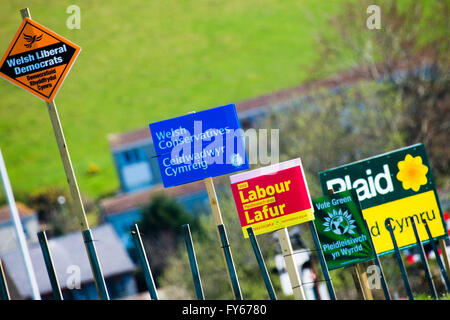 Pays de Galles Aberystwyth UK, samedi 23 avril 2016 politique routière bannières et affiches pour les candidats et partis à l'Assemblée Nationale de Galles élections (Plaid Cymru / Welsh Welsh / libéraux-démocrates conservateurs / population / Parti Vert) l'Assemblée nationale du Pays de Galles de 2016 l'élection aura lieu le jeudi 5 mai 2016, d'élire les membres de l'Assemblée nationale du Pays de Galles (AMS). Ce sera la cinquième élection de l'Assemblée nationale. Actuel du Ceredigion est SUIS ELIN JONES, représentant Plaid Cymru Crédit photo : Keith Morris / Alamy Live News Banque D'Images