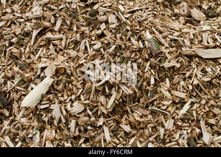 Close up de copeaux de bois et d'écorce sont utilisées comme paillis sur un lit de fleur de jardin ou d'une bordure. Banque D'Images