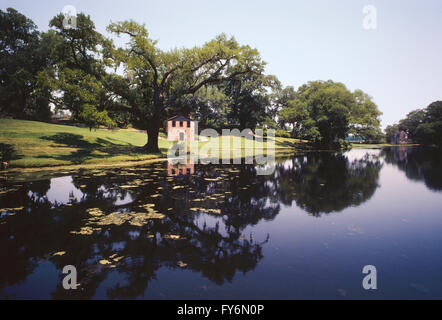 Les étangs ; MIDDLETON PLACE, c1741 ; 50 000 acres à l'origine de la plantation de riz ; Charleston, Caroline du Sud, USA Banque D'Images