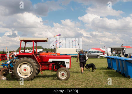 Une rangée de tracteurs vintage et les cellules à la vapeur de Fairford Rally, Gloucestershire, Royaume-Uni Banque D'Images