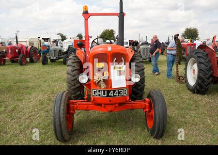 1964 Tracteur Nuffield sur l'affichage à la vapeur de Fairford Rally, Gloucestershire, Royaume-Uni Banque D'Images