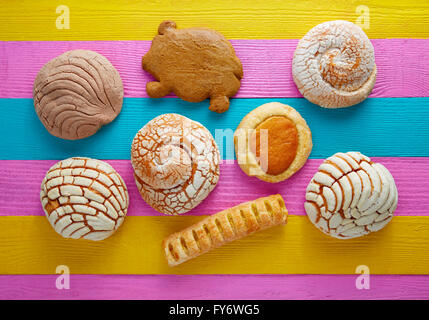 Pâtisseries mexicaines concha puerquito ojo buey dans un fond de bois colorés Banque D'Images