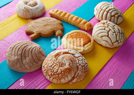 Pâtisseries mexicaines concha puerquito ojo buey dans un fond de bois colorés Banque D'Images