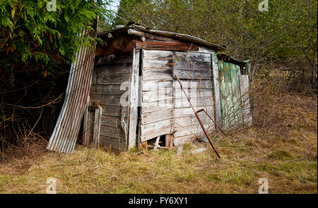 Cabane dans un champ agricole Banque D'Images