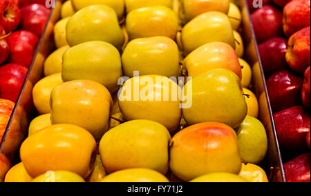 Boisseau plein de pommes jaune dans une rangée avec des pommes rouges sur les côtés et profondeur de champ Banque D'Images