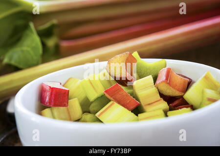 Morceaux de rhubarbe bio fraîchement coupé Banque D'Images