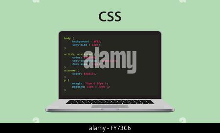 Feuilles de style en cascade CSS programmation avec ordinateur portable et le code de script Illustration de Vecteur