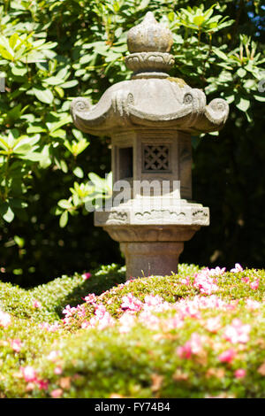 Un petit jardin dans une pagode gris jardin japonais sur le dessus du rhododendron rose buissons. Banque D'Images