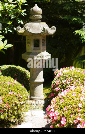 Un petit jardin dans une pagode gris jardin japonais sur le dessus du rhododendron rose buissons. Banque D'Images