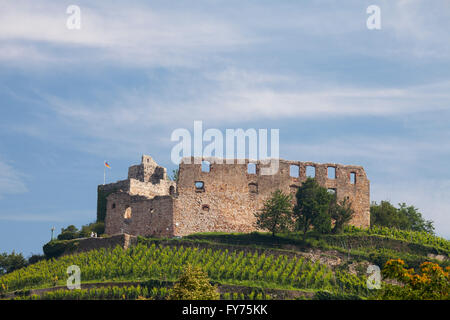 Ruines du château de Staufen, Staufen im Breisgau, Forêt-Noire, Bade-Wurtemberg, Allemagne Banque D'Images