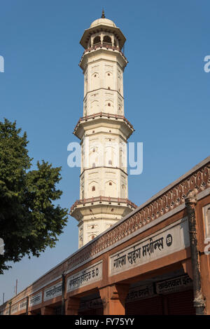 Iswari Minar Swarga Sal, Heaven-Piercing Minaret, Jaipur, Rajasthan, Inde Banque D'Images