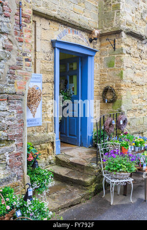 Jolie fleuriste dans un bâtiment traditionnel en pierre dans la région de Petworth, Sussex de l'Ouest avec des marches en pierre et de fleurs d'affichage Banque D'Images