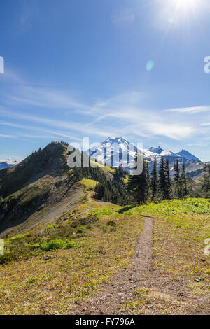 Shot vertical le long sentier de randonnée en direction de diviser les toits de Mount Baker, WA Banque D'Images